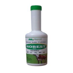 Nobest Gel | Calcium & Multivitamin Gel Liquid