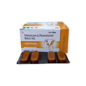 Loxypara | Meloxicam and Paracetamol Bolus