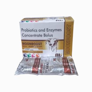 Moon Boost | Probiotics Enzyme Bolus