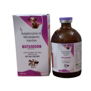 Butamoon | Butaphosphan & Methylcobalamin Injection