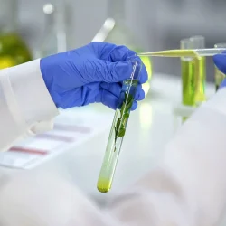chemicalpreservative