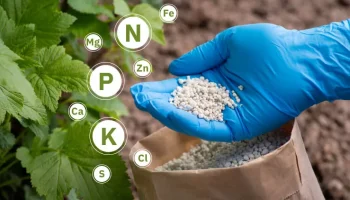 components-of-different-types-of-fertilizers.jpg