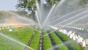 sprinkler-irrigation-service-1530531088-4048651-500x500